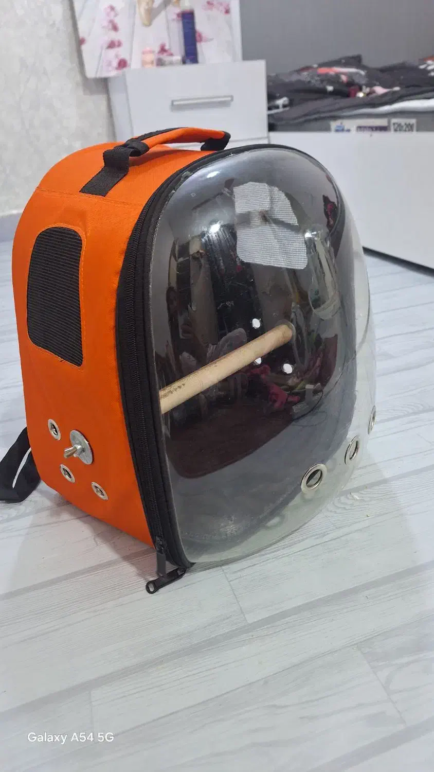 کوله حمل پرندگان کاملا نو|لوازم جانبی حیوانات|اهواز, اسلام آباد غربی|دیوار