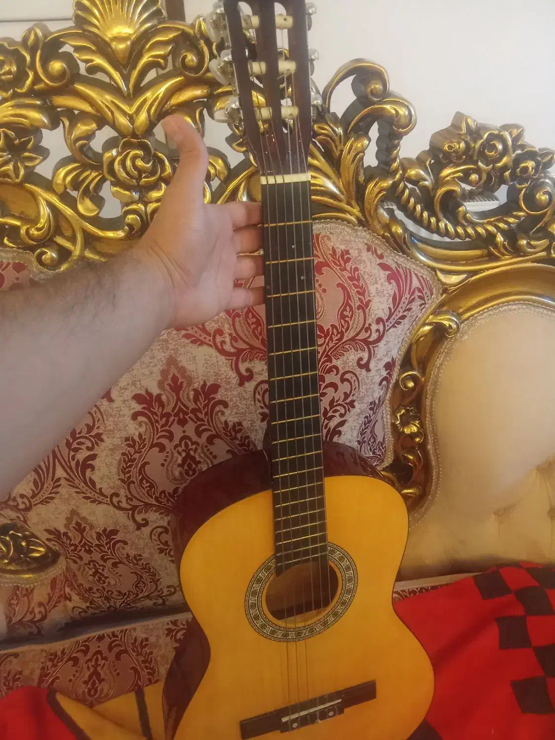 گیتار مدل Pao China درحد نو|گیتار، بیس، امپلیفایر|بابلسر, |دیوار