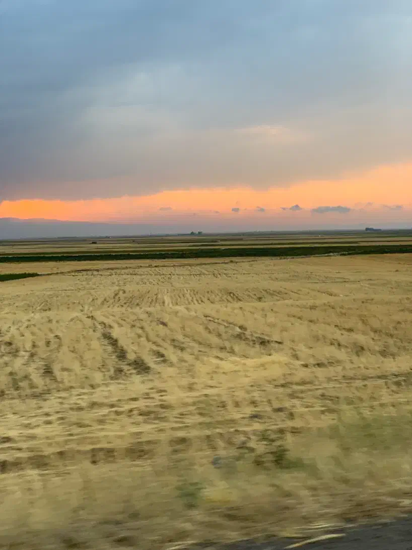 زمین در روستای نوشهر نوشار|فروش زمین و ملک کلنگی|هیر, |دیوار