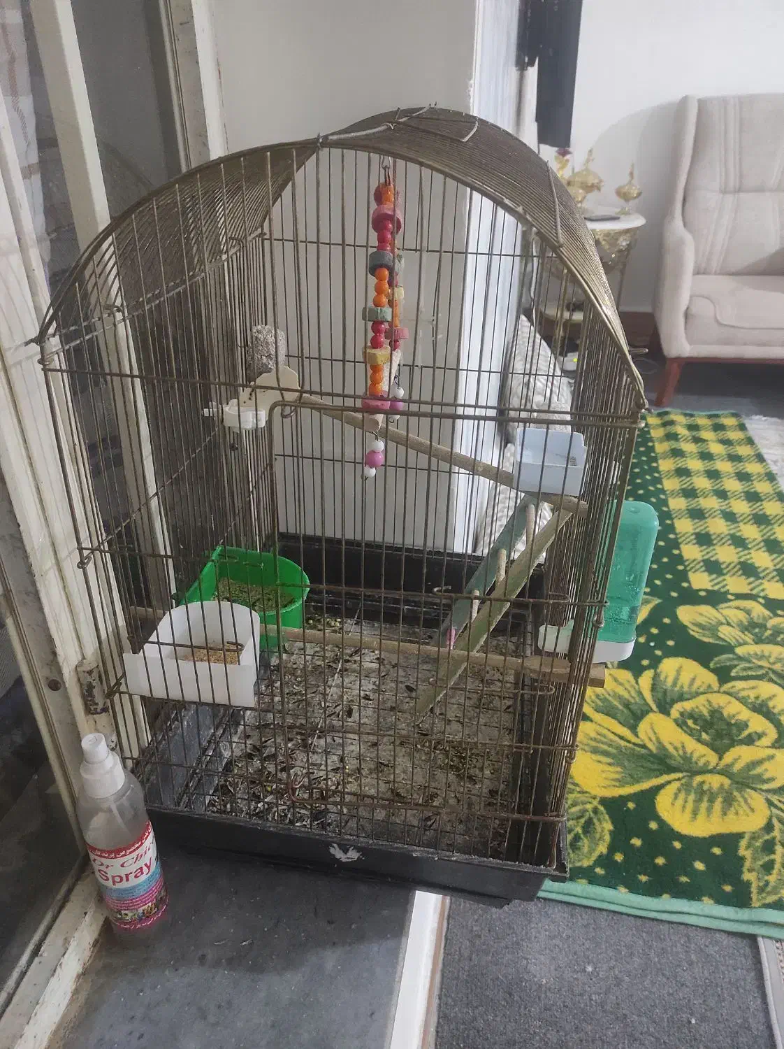 قفس پرنده معاوضه با سهره یا هر چیز به درد بخور|لوازم جانبی حیوانات|بستان آباد, |دیوار