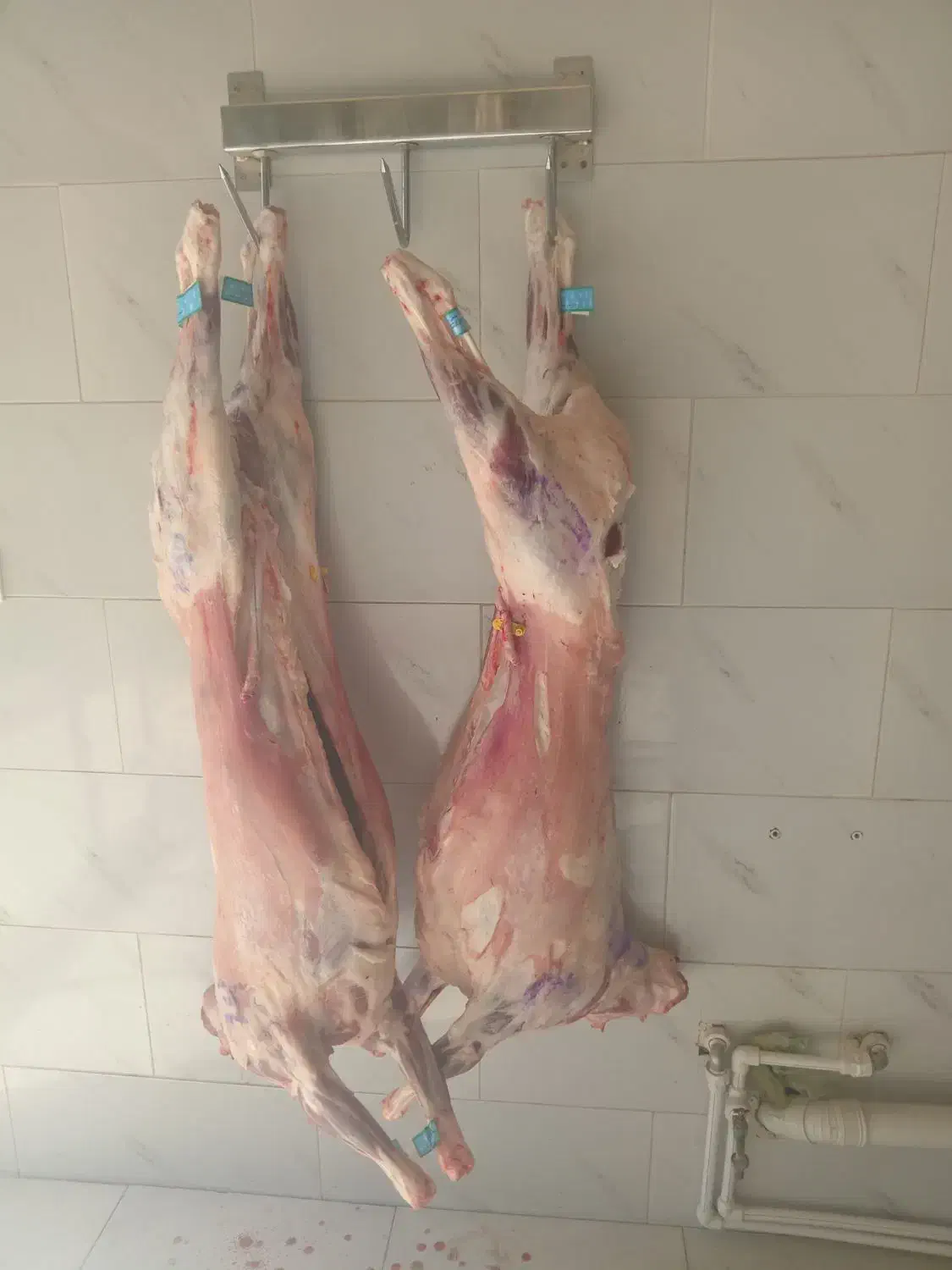 گوشت بره فقط و فقط بره نرینه|خوردنی و آشامیدنی|نیشابور, ناسیونال|دیوار