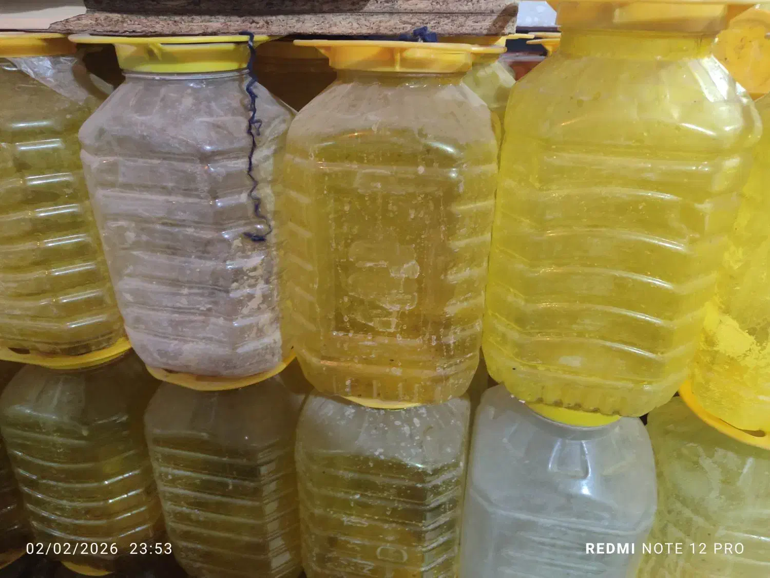 پیت و به خیار شور|ظروف نگهدارنده، پلاستیکی، یک‌بارمصرف|قم, علی آباد|دیوار