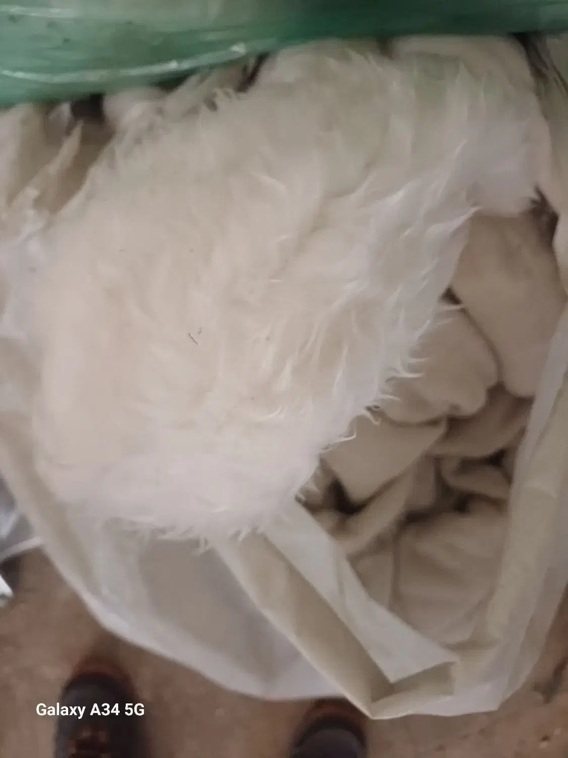 خز بزرگ|فرش|تهران, شهید رجایی|دیوار