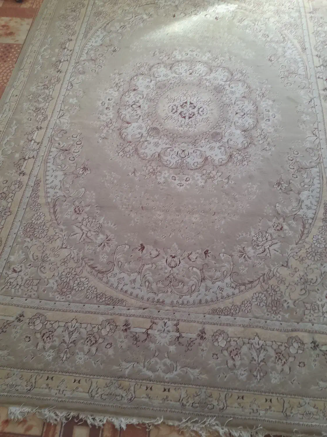 یک عدد فرش ۱۲ متری|فرش|ساوه, |دیوار