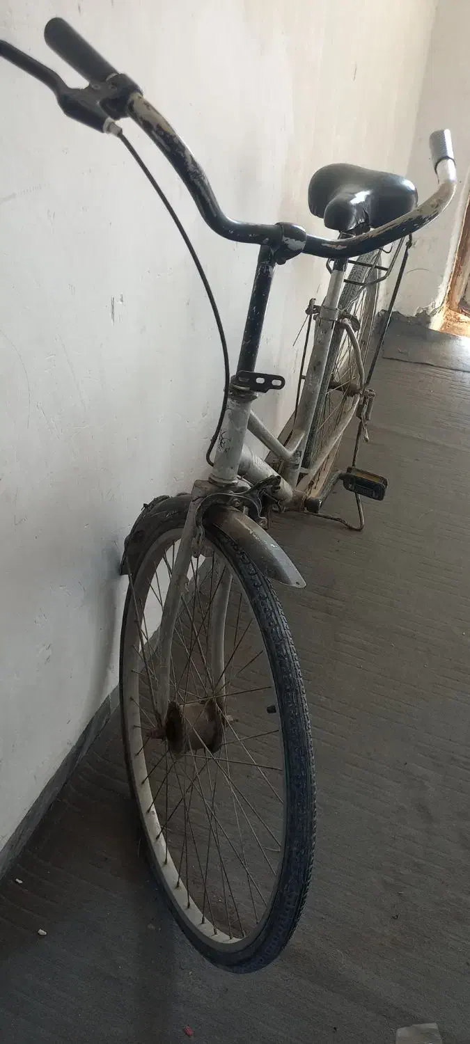 دوچرخه سالم|دوچرخه، اسکیت، اسکوتر|کارون, |دیوار