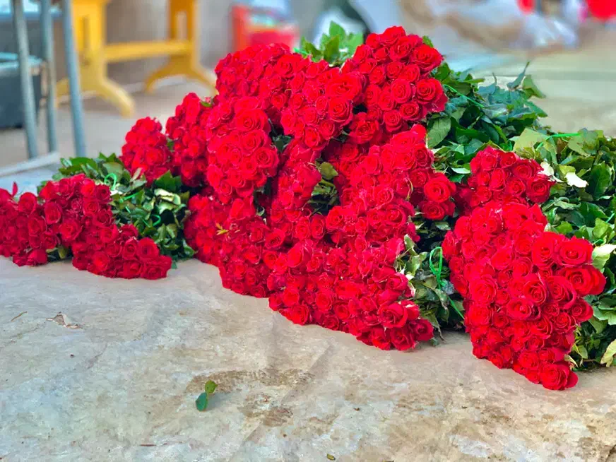 (فریمان)استخدام کارگراقادرگلخانه گل رزشاخه بریده|استخدام صنعتی، فنی، مهندسی|مشهد, کوشش|دیوار