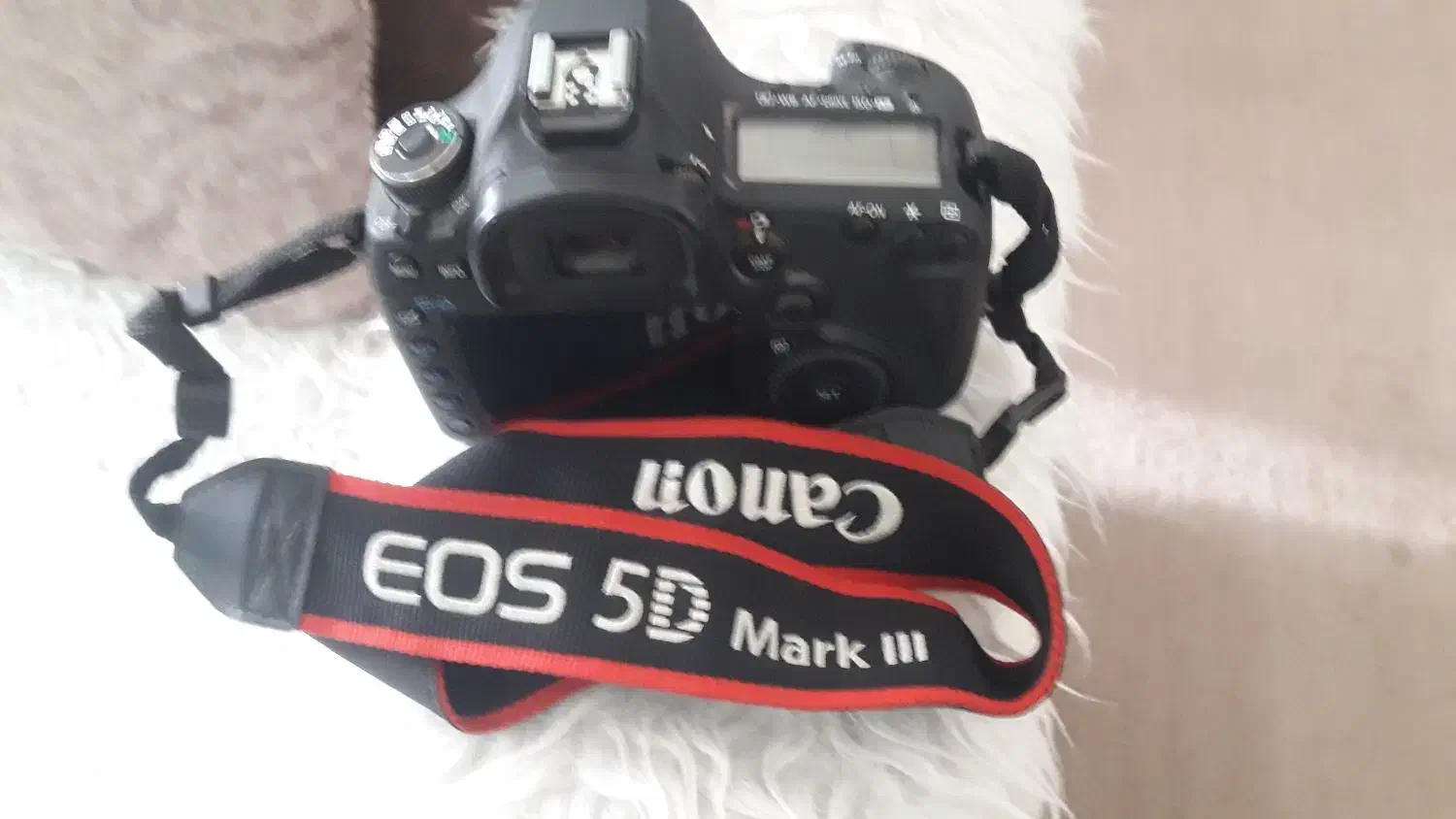 دوربین کنون فایو D با لنز ۱۰۵×۲۴|دوربین عکاسی و فیلم‌برداری|مسجد سلیمان, |دیوار