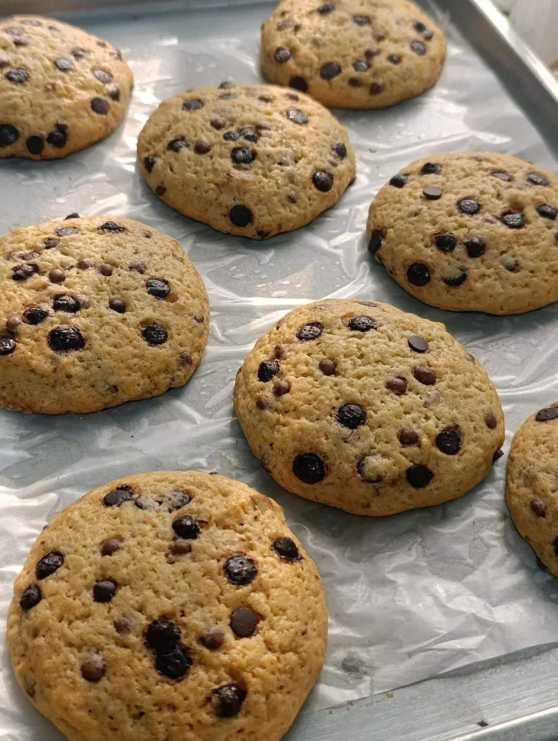 کوکی و کیک خونگی|خوردنی و آشامیدنی|رودبنه, |دیوار