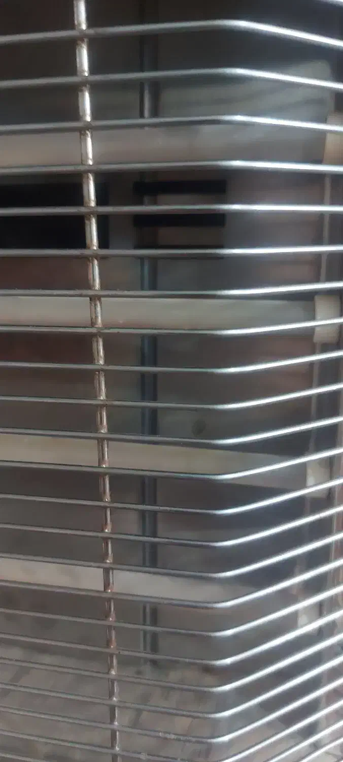 گمشده . عروس هلندی . پرنده|حیوانات|شیراز, نصر|دیوار