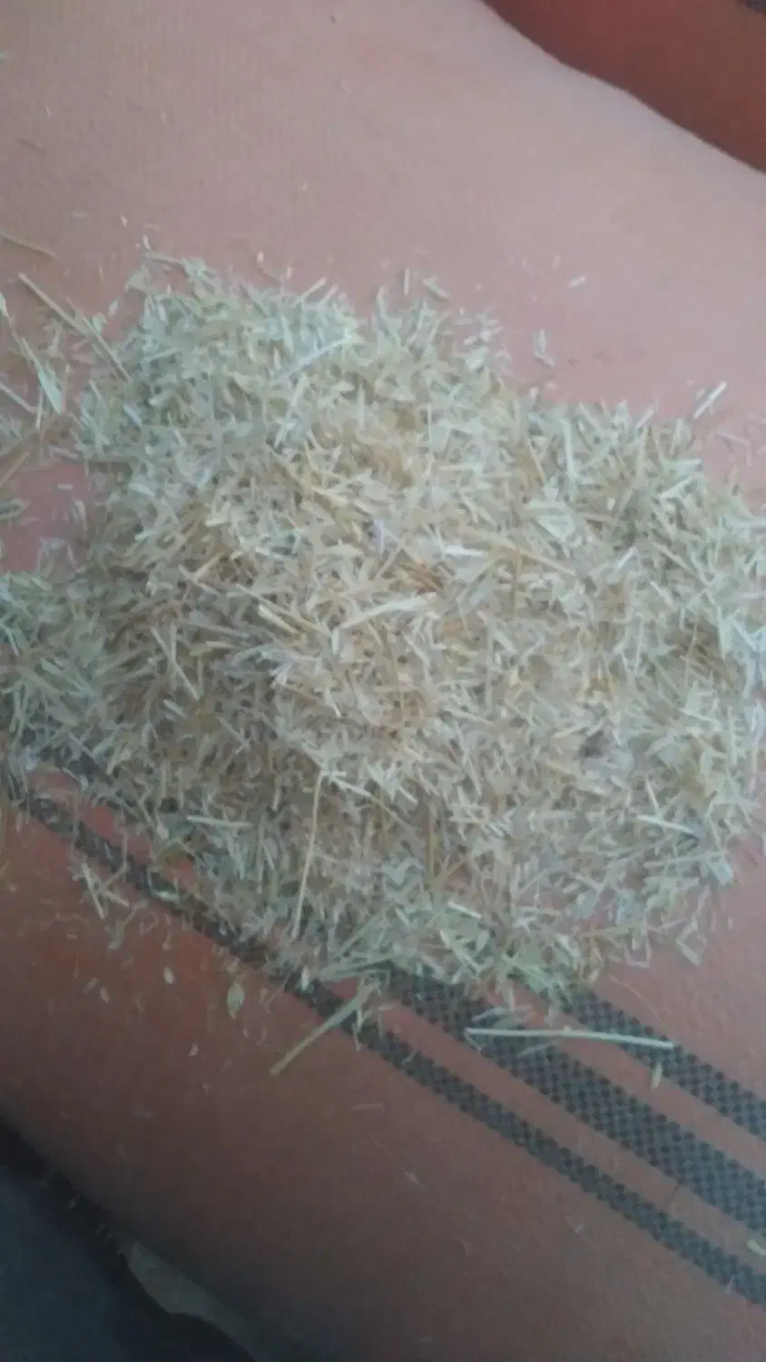 کاه دیم|لوازم جانبی حیوانات|گل تپه, |دیوار