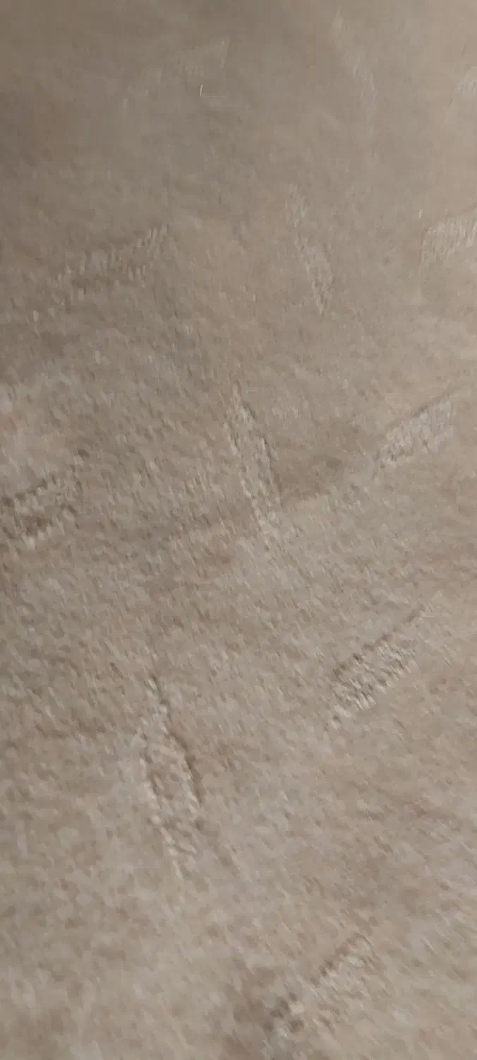 فروش موکت بسیار نو وتمیز|موکت|بجنورد, |دیوار