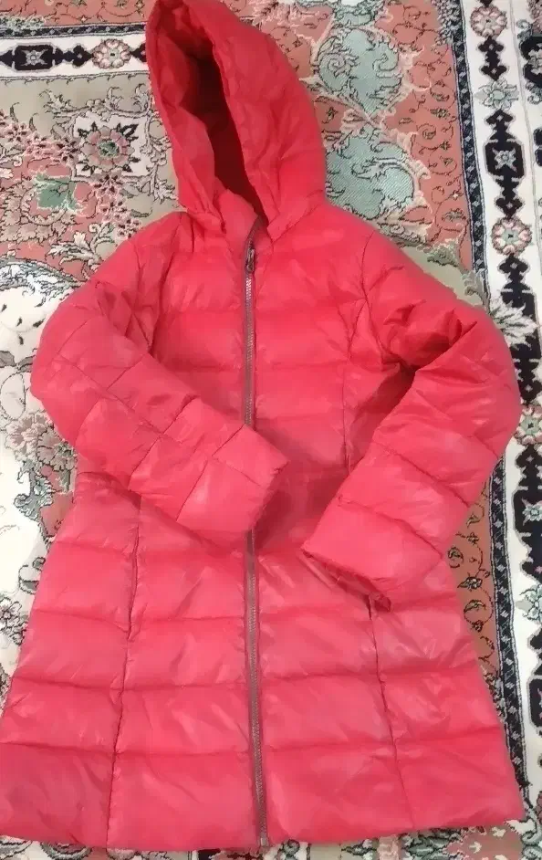 کاپشن نو|لباس|یزد, |دیوار