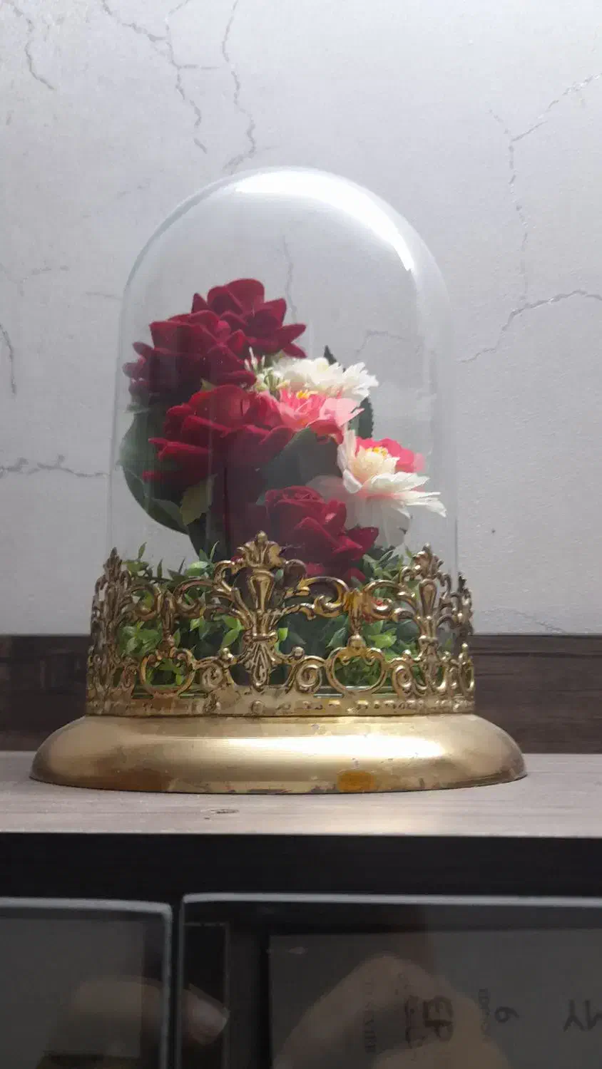 باکس گل وگلدان کریستالی وتمساح دکوری|گل مصنوعی|قم, شهرک توانیر|دیوار