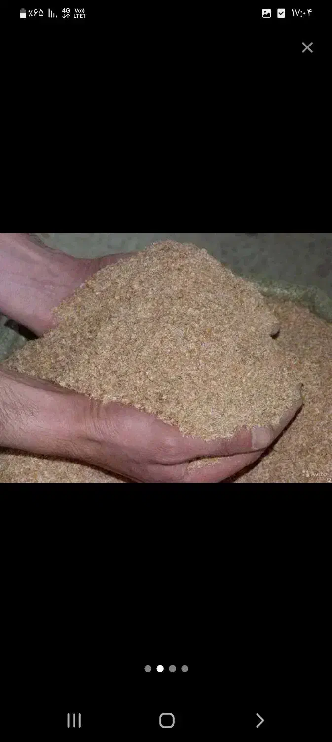 سبوس گندم درجه عالی|لوازم جانبی حیوانات|بهشهر, |دیوار