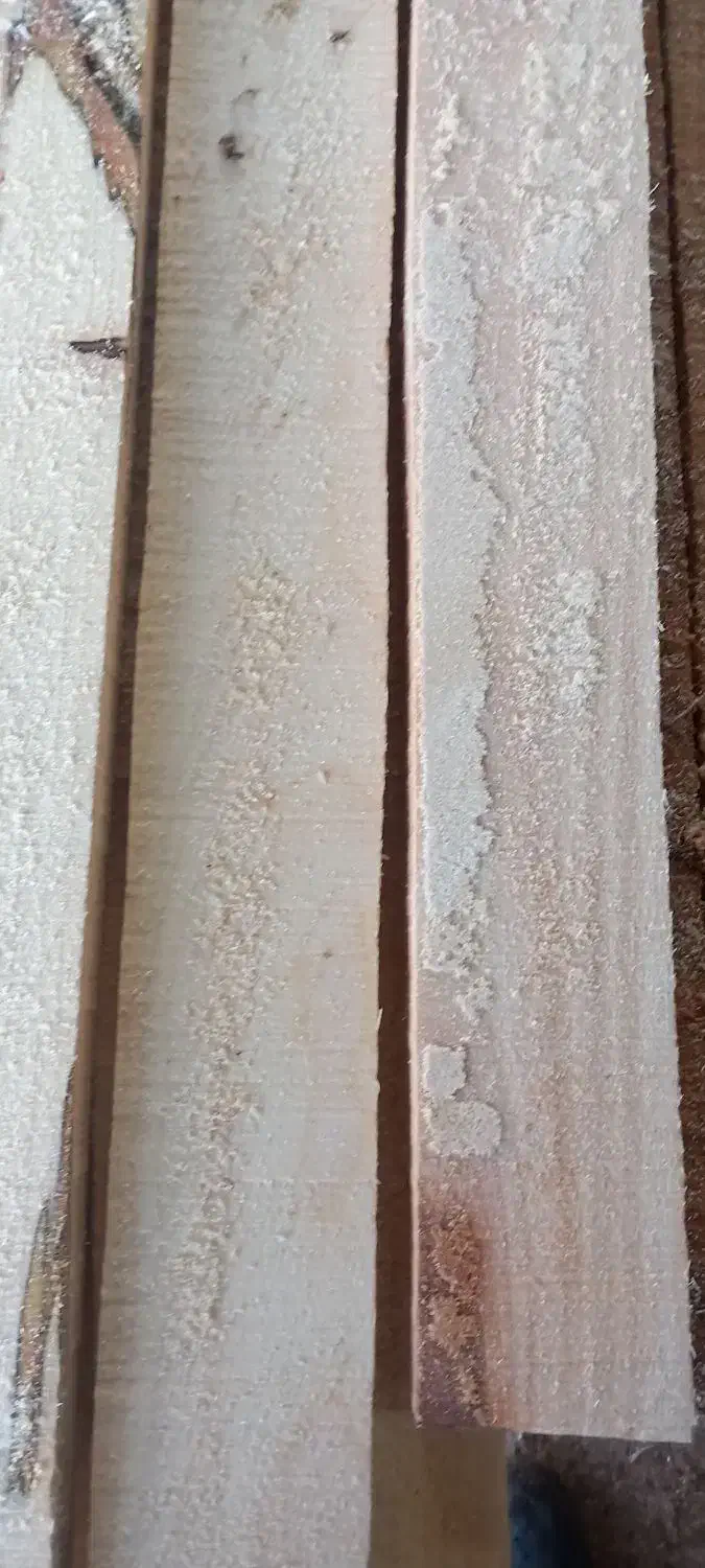 فروش انواع تخته وپایه صنوبر|عمدهفروشی|قمرود, |دیوار