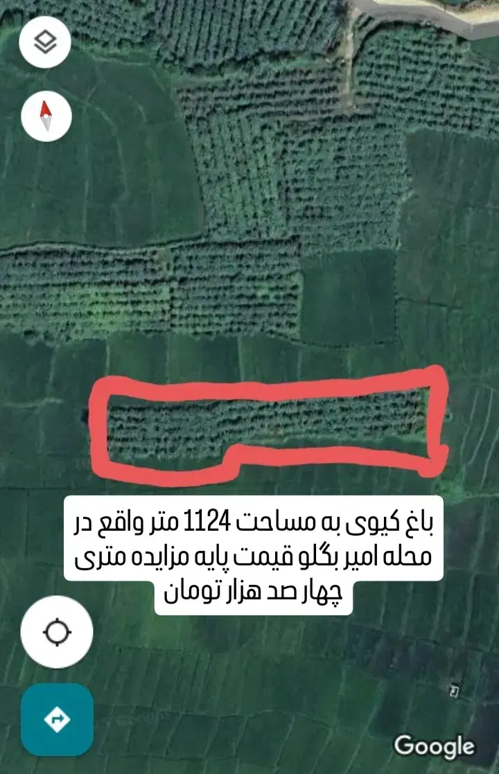 اطلاعیه فروش مزایده ای زمین، باغ کیوی و شالیزار|فروش زمین و ملک کلنگی|لیسار, |دیوار