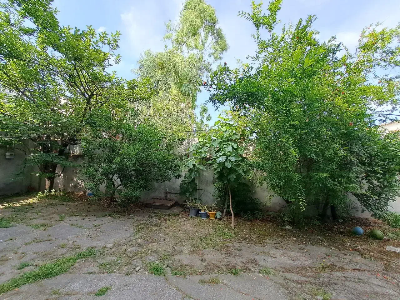 اجاره مسکونی ویلایی حیاط دار|اجارهٔ خانه و ویلا|ساری, |دیوار