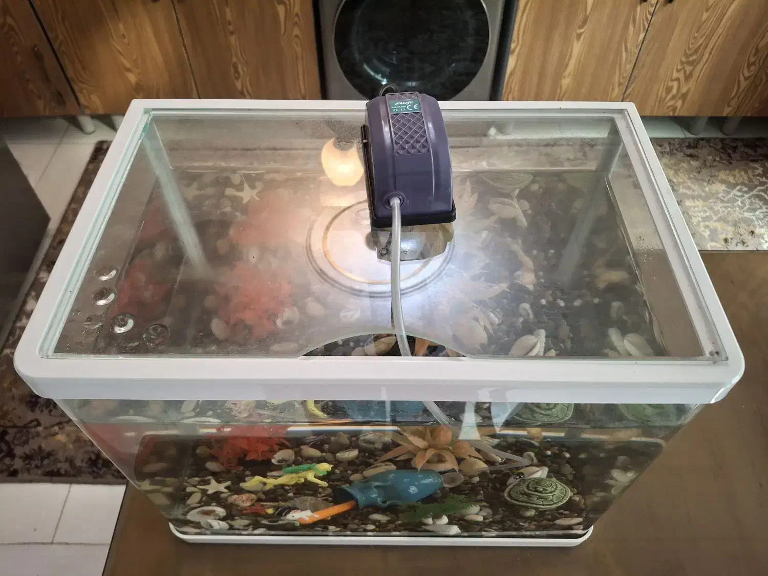 آکواریوم سالم به همراه تمام لوازم|ماهی|تهران, توحید|دیوار