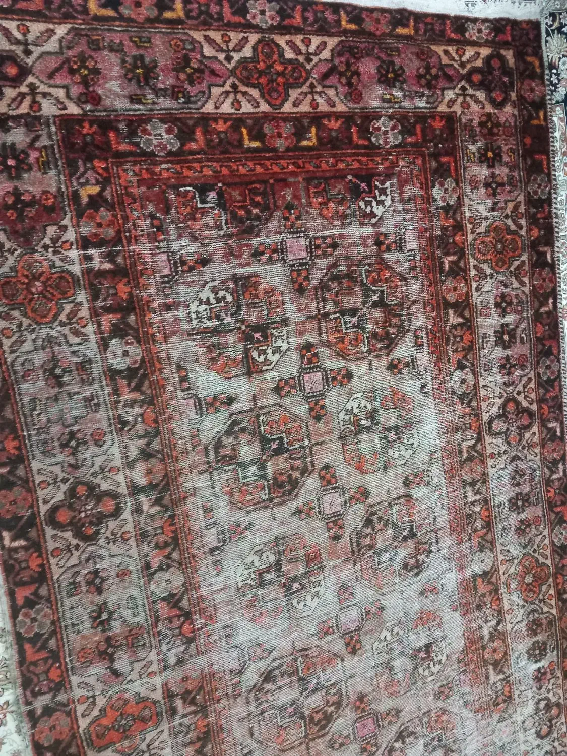 فرش دست بافت قدمت دار|فرش|ساری, |دیوار