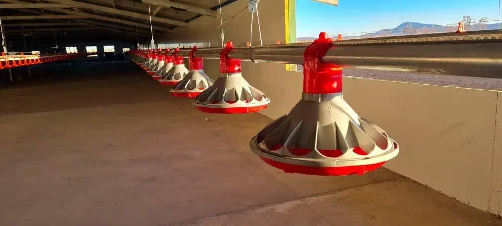 اجاره مرغداری 25000قطعه ای نورآباد|اجارهٔ دفتر صنعتی، کشاورزی، تجاری|خاوه, |دیوار