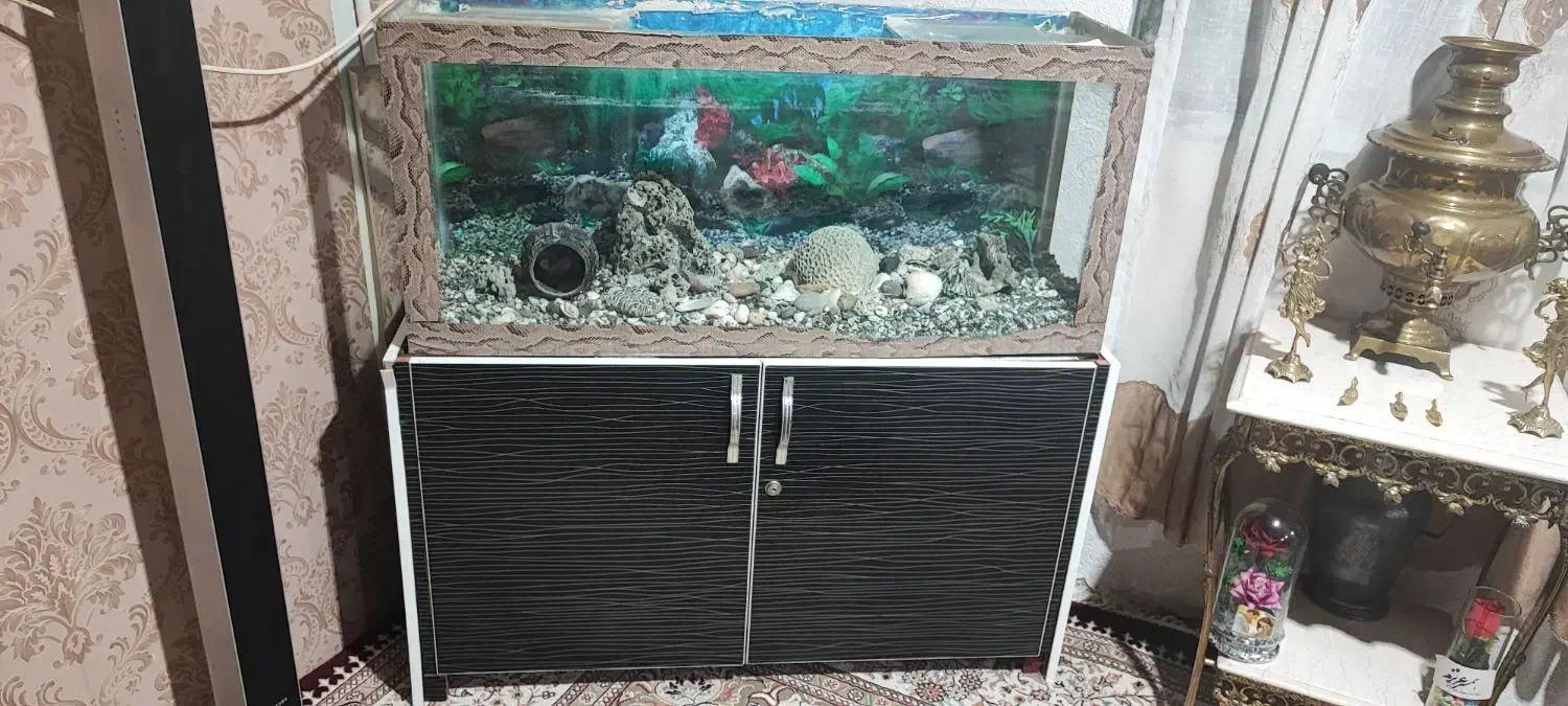 آکواریوم با لوازم|ماهی|خرم‌آباد, |دیوار