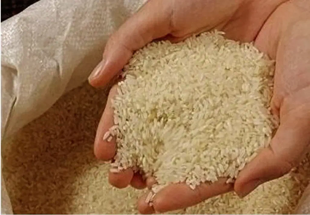 تولیدوفروش‌انواع‌برنج‌ های ‌معطراستان‌گیلان‌شهرشفت|خوردنی و آشامیدنی|شفت, |دیوار