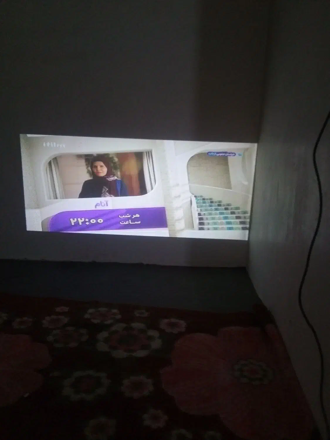 یک عدد پلژگتورو یک عددبخاری|تلویزیون و پروژکتور|مشهد, کوی دروی|دیوار