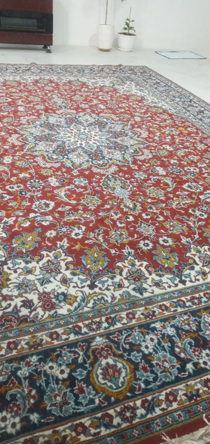 قالی۱۲متری|فرش|تربت جام, شهرک آزادگان|دیوار