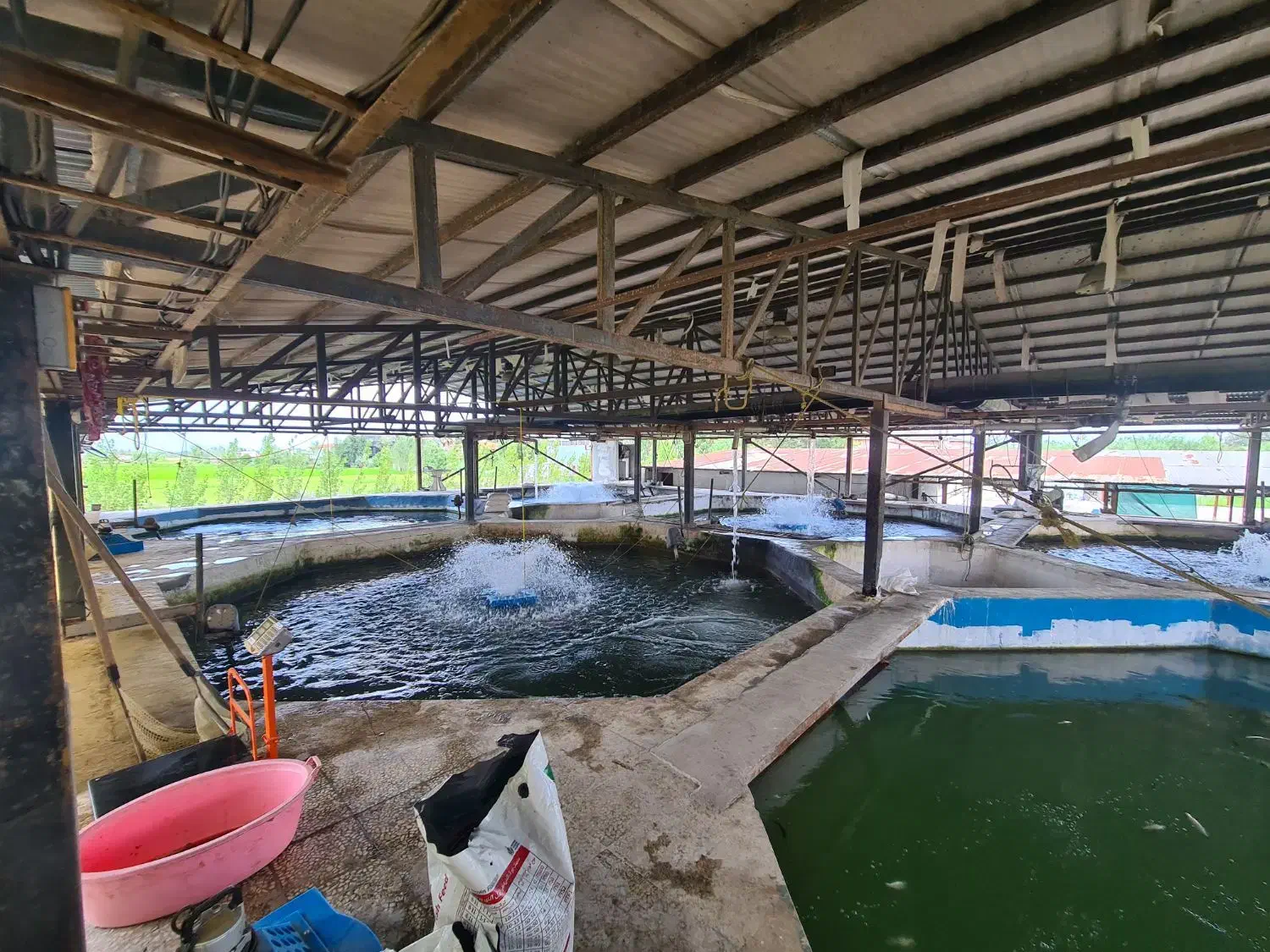 فروش مزرعه پرورش ماهی در زمین۶.۲۰۰ متر|فروش دفتر صنعتی، کشاورزی، تجاری|سرخرود, |دیوار