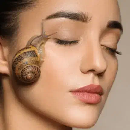 حلزون درمانی...|خزنده|فسا, |دیوار