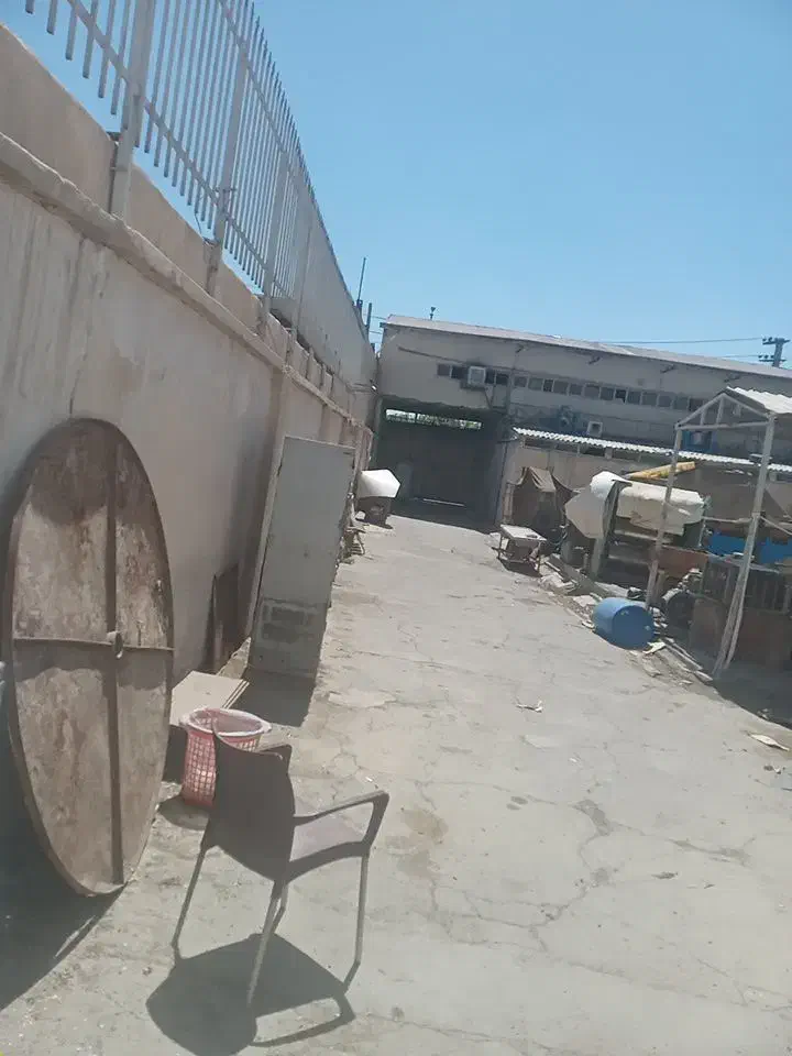 نگهداری سگ و حیوانات بی پناه رایگان|خدمات پیشه و مهارت|باغستان, |دیوار