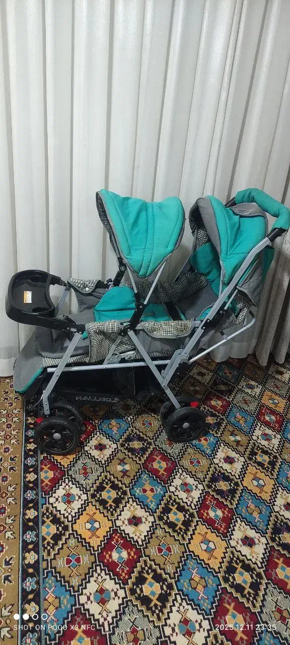 کالسکه دوقلو دلیجان|کالسکه و لوازم جانبی|آشخانه, |دیوار