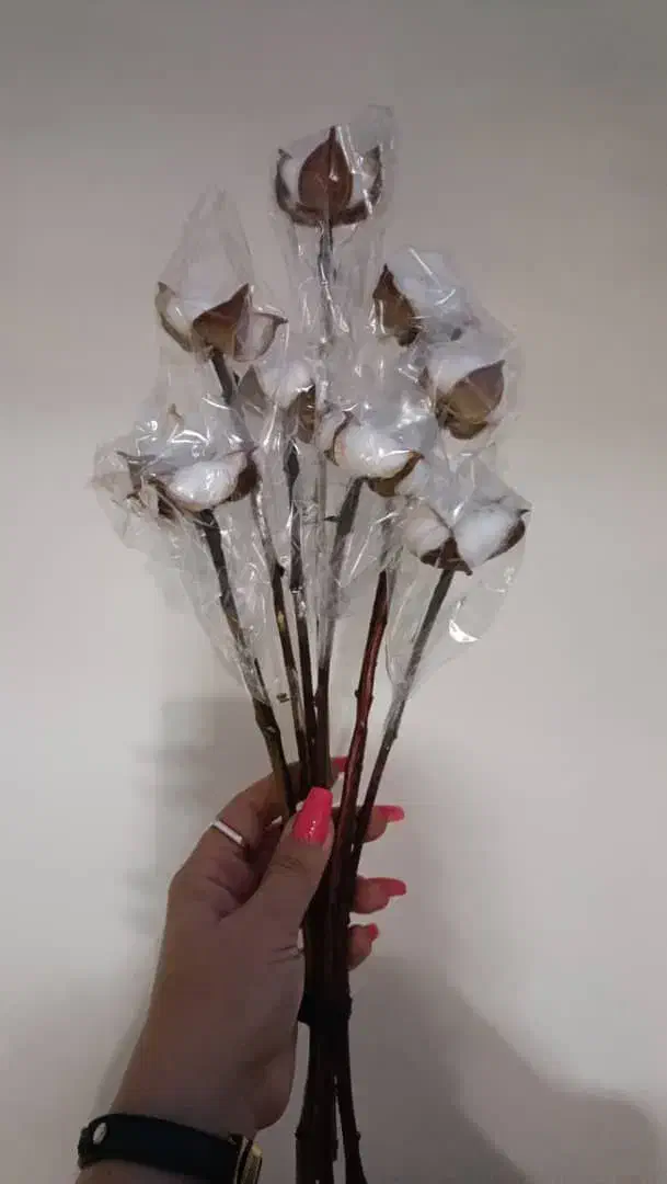 گل خشک و پنبه شاخه ای|گل مصنوعی|تهران, تاکسیرانی|دیوار