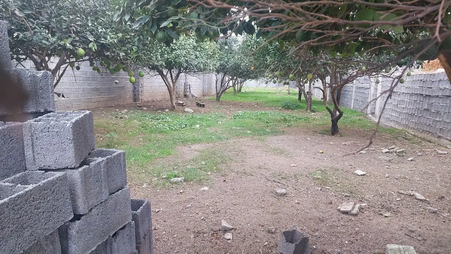 ۴۵۰ متر زمین مسکونی در بندپی شرقی|فروش زمین و ملک کلنگی|گلوگاه بابل (گلیا), |دیوار