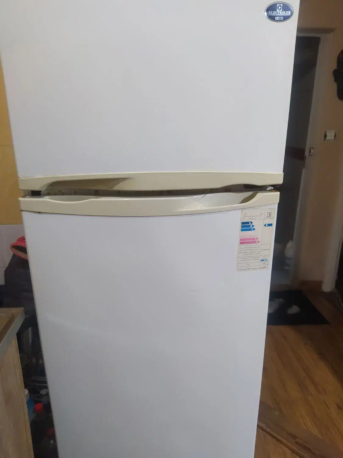 یخچال فریزر الکترو لوکس در حال استفاده|یخچال و فریزر|رشت, سعدی (تختی)|دیوار