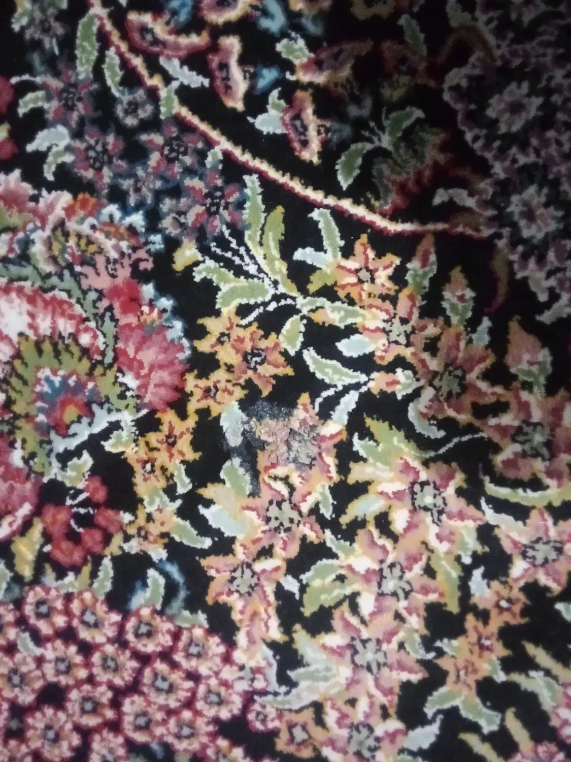 فرش|فرش|کرج, کمالشهر|دیوار