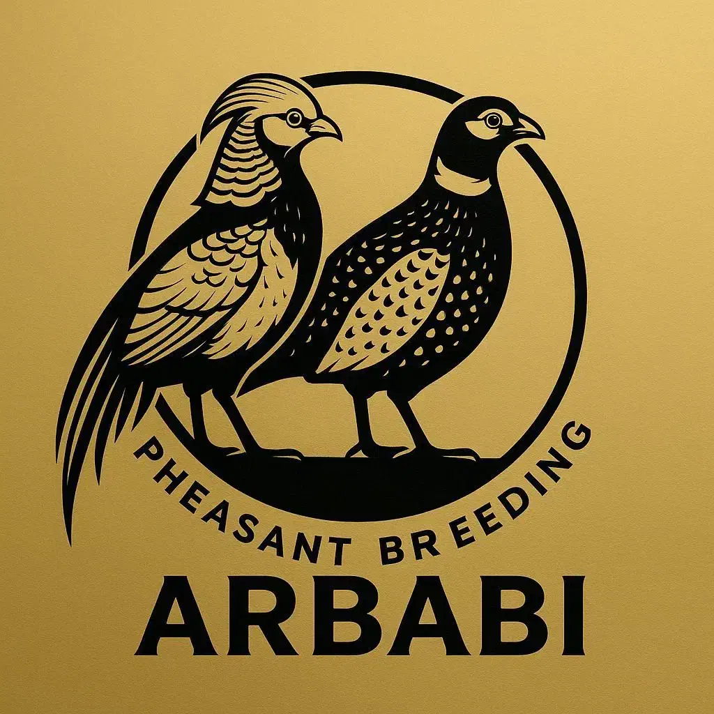 پرنده امریکایی و طاووس زینتی بلژیکی|پرنده|تهران, صادقیه|دیوار