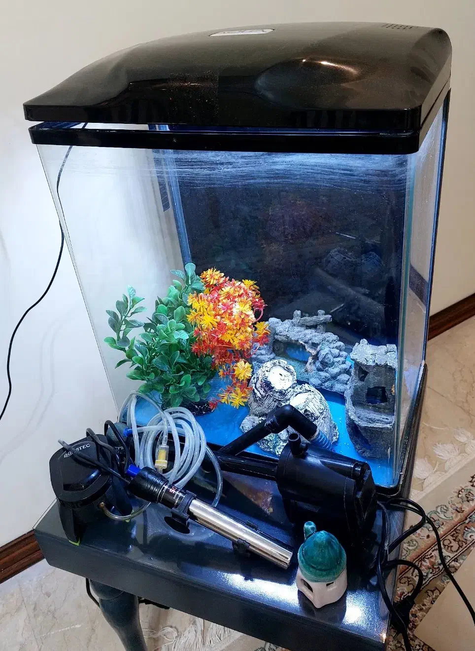 آکواریوم aqua رومیزی|ماهی|تهران, تهرانپارس شرقی|دیوار