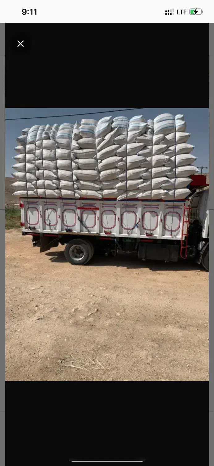 کاه گندم دیم درجه ۱|لوازم جانبی حیوانات|مسجد سلیمان, |دیوار