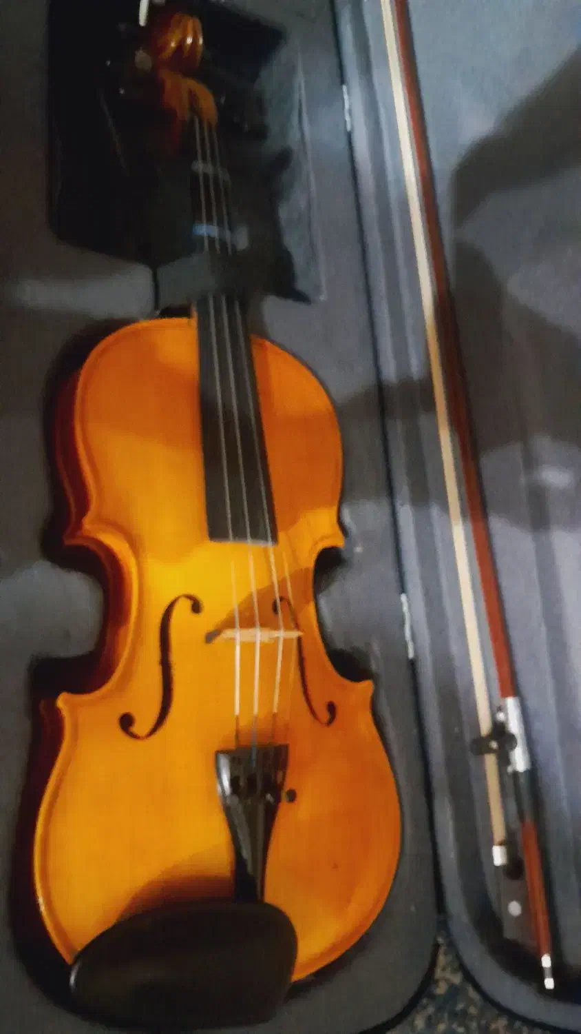 ویولن|ویولن|بندر ماهشهر, |دیوار