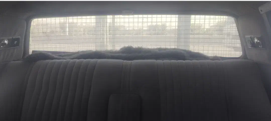 کادیلاک شورلت|خودرو کلاسیک|چهاردانگه (تهران), |دیوار