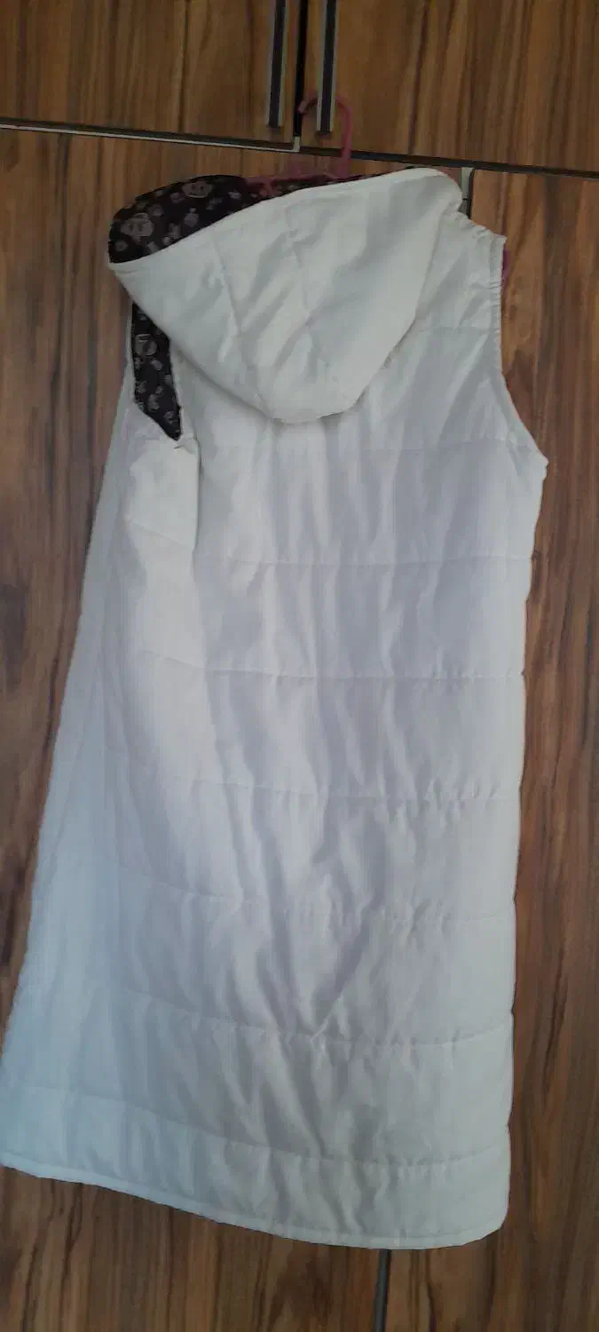 پافر بلند و کمربند|لباس|رودسر, |دیوار