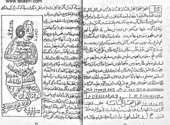 طالع بینی موکل دار و تضمینی|خدمات پذیرایی، مراسم|اهواز, شهرک حفاری|دیوار