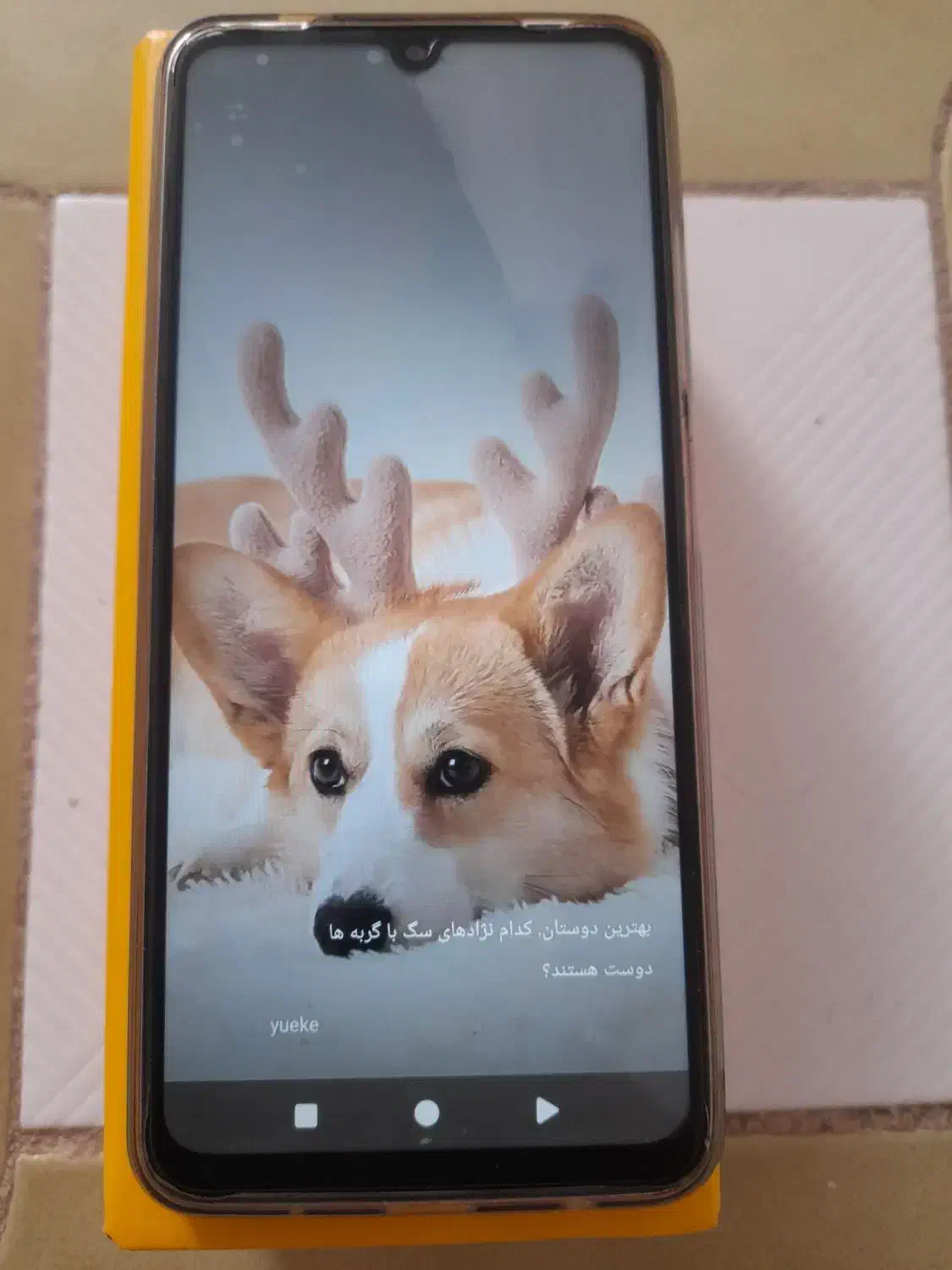 پوکو  c71|موبایل|فاروج, |دیوار