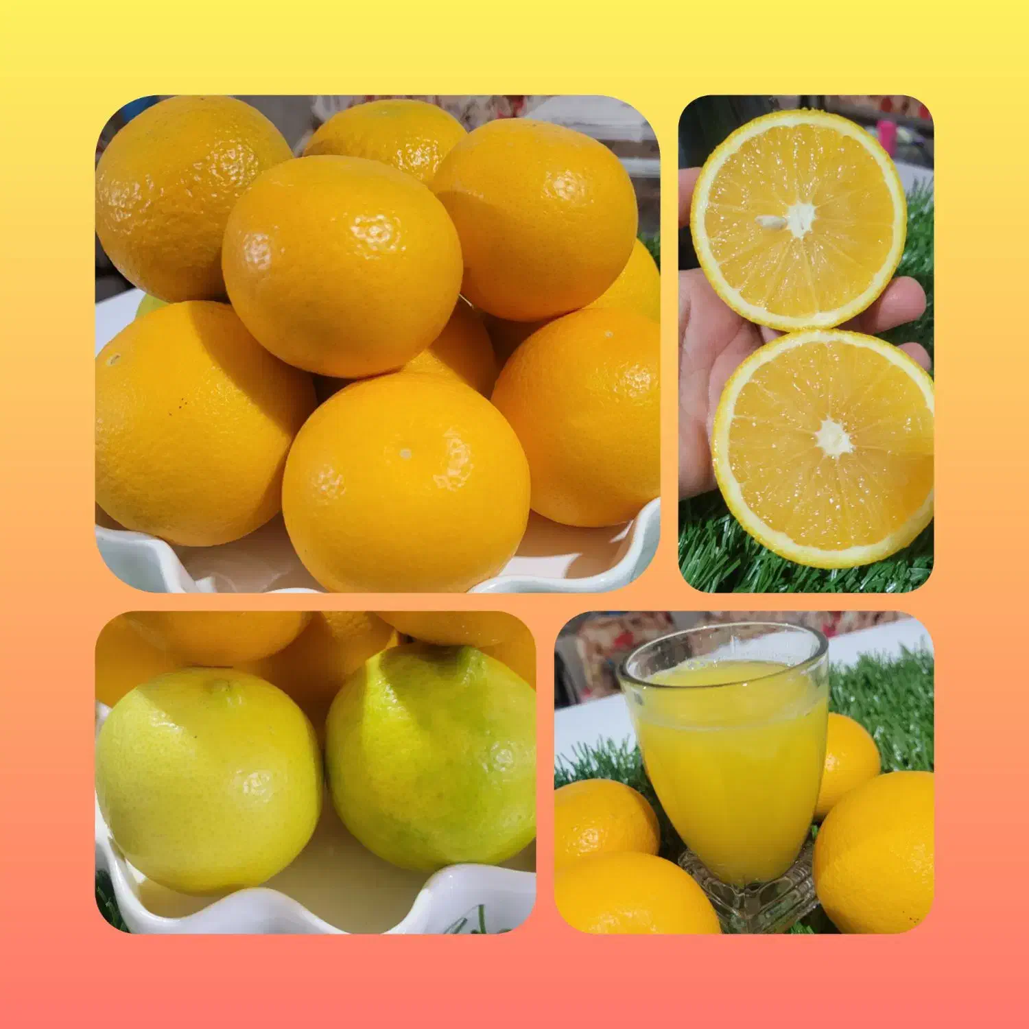 میوه کاملا ارگانیک با بهترین کیفیت|خوردنی و آشامیدنی|لیکک, |دیوار