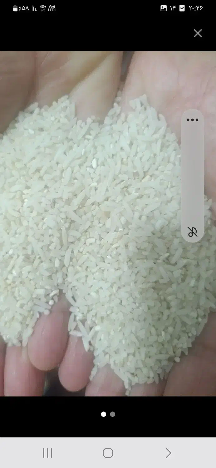 سرلاشه درجه ا|خوردنی و آشامیدنی|پره‌سر, |دیوار