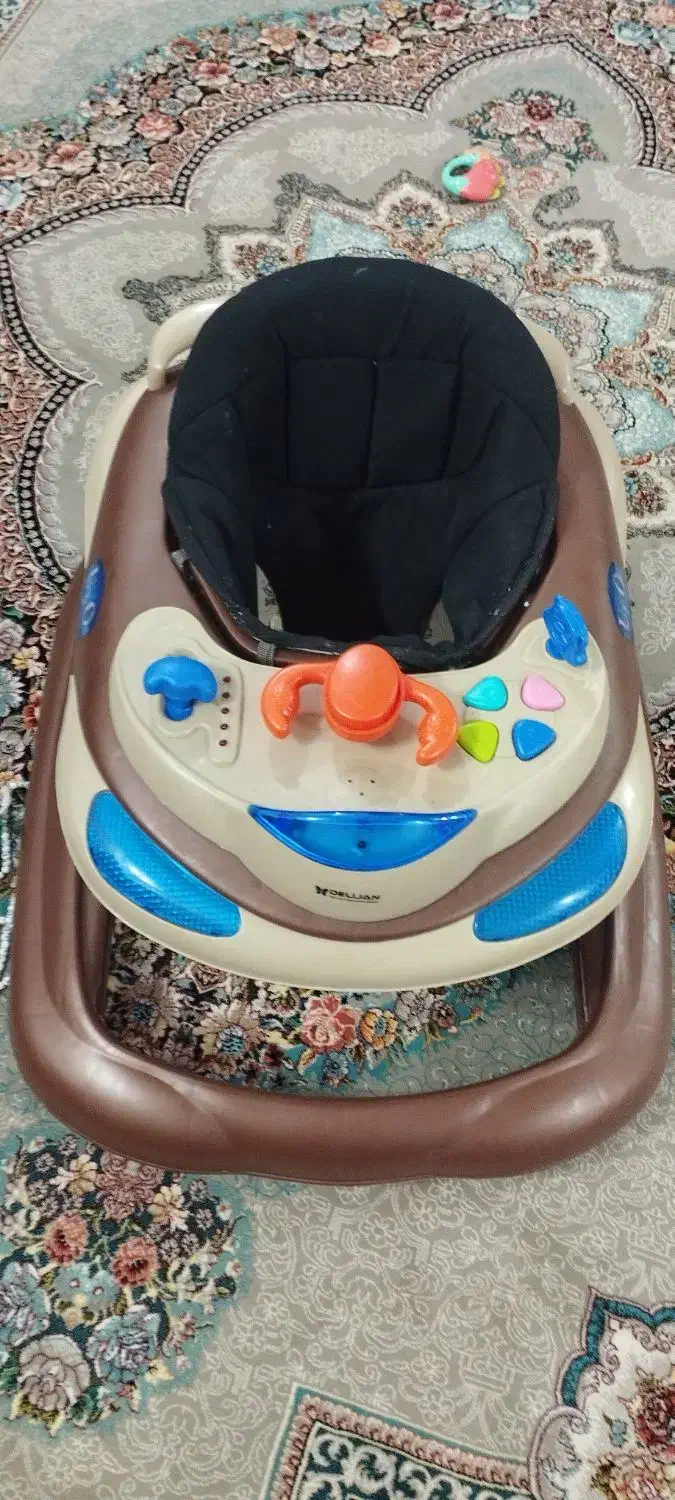 روروئک دلیجان|کالسکه و لوازم جانبی|لاهیجان, لیالستان|دیوار