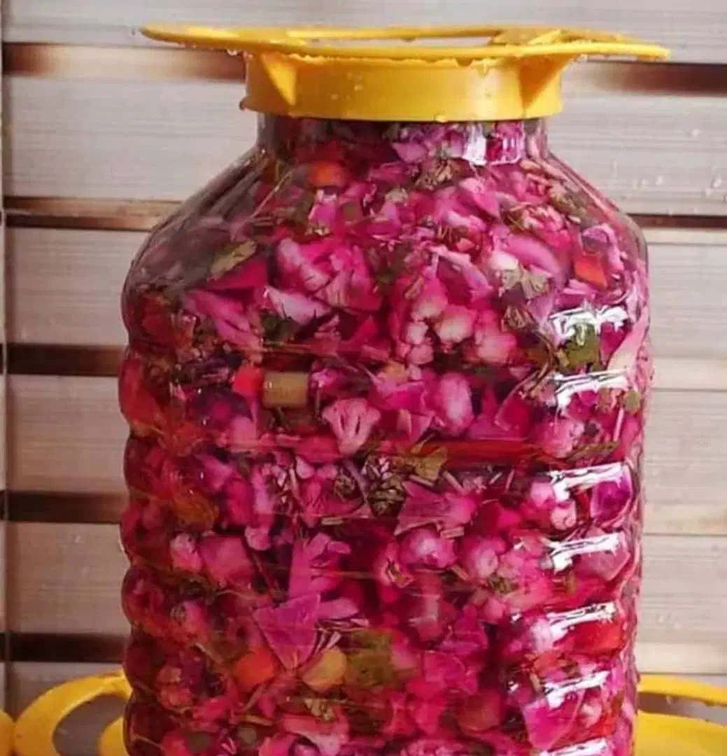 ترشیجات|خوردنی و آشامیدنی|اصفهان, حصه شمالی|دیوار