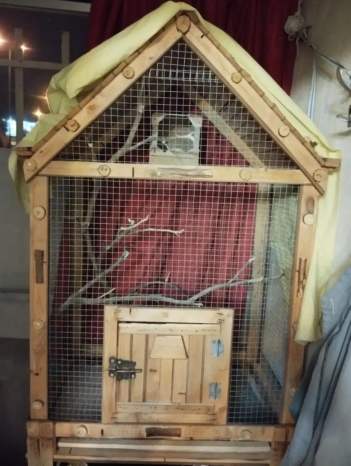 قفس پرنده چوبی|لوازم جانبی حیوانات|سمنان, |دیوار