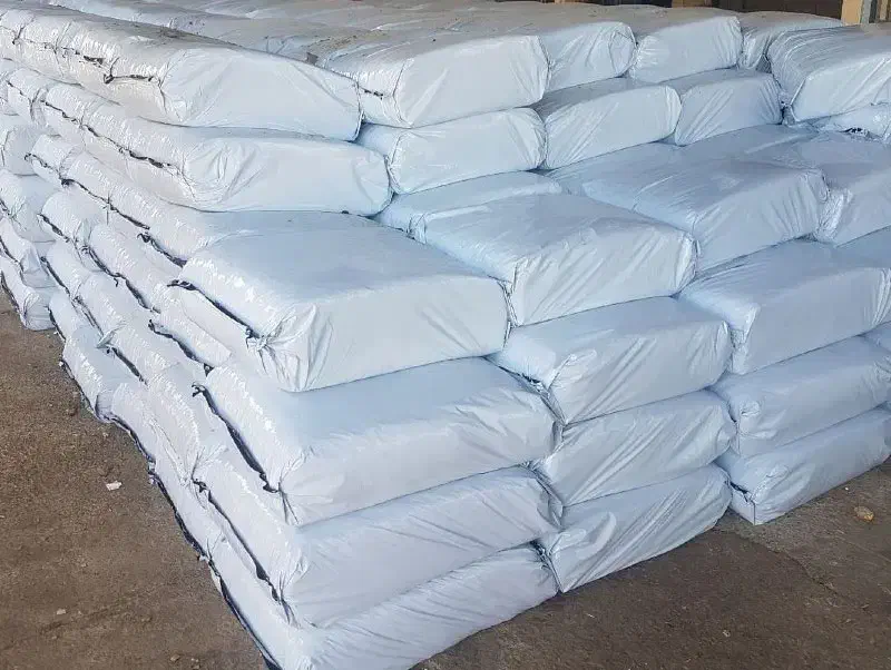 ذرت علوفه|گل و گیاه طبیعی|رشت, نامجو|دیوار